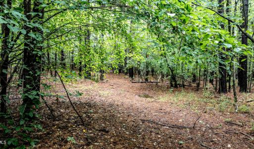 4833-Woods-2