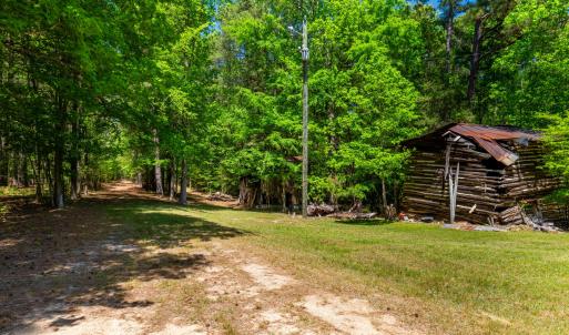 2510 Tody Goodwin-19