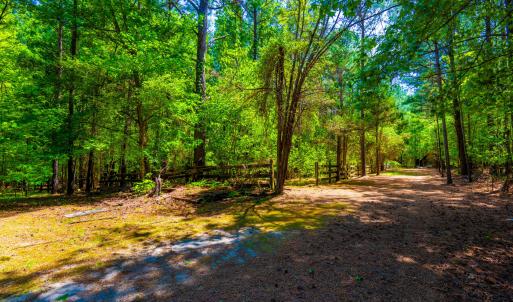 2510 Tody Goodwin-18