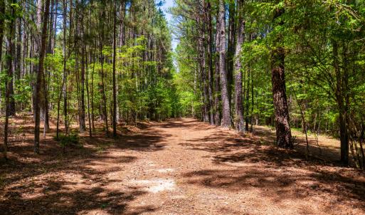 2510 Tody Goodwin-21