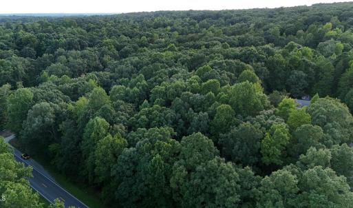 SW view of E property line