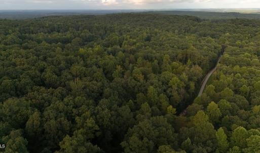 N-NE View of property