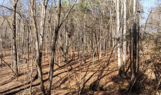 11-DJI_20250125121108_0043_D