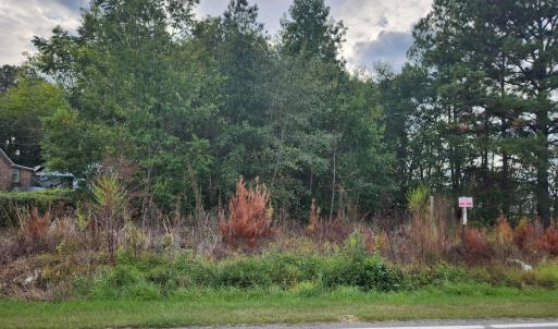 7208135512149826387 (3)