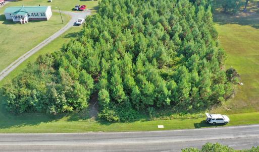 DJI_0617