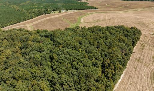 6-web-or-mls-DJI_20240910130911_0992_D