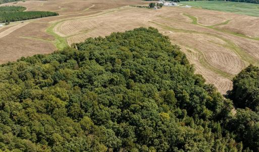 7-web-or-mls-DJI_20240910130927_0993_D