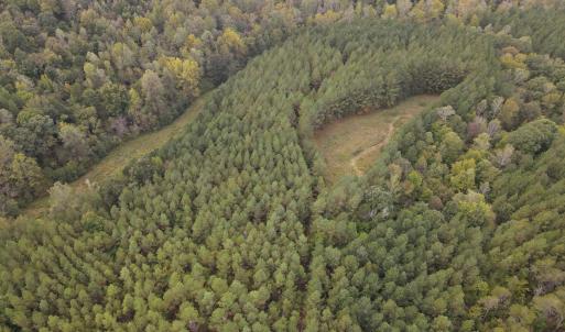 DJI_0518