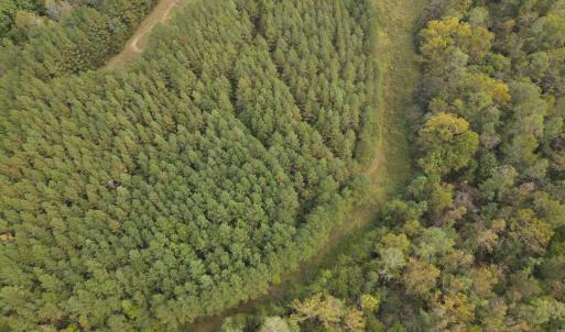 DJI_0526