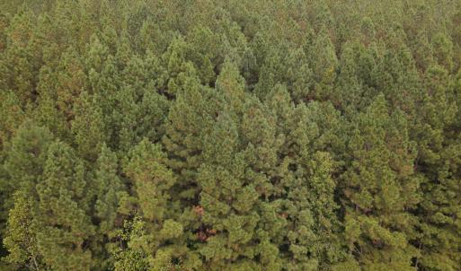 DJI_0530