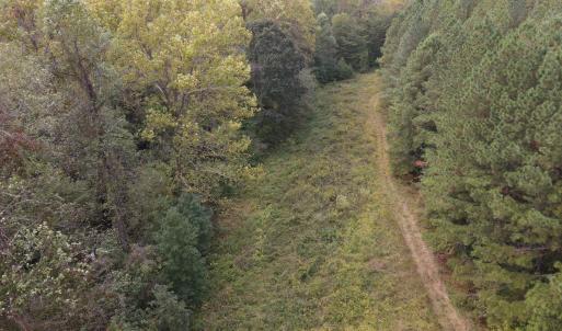 DJI_0531