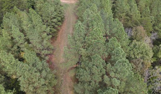 DJI_0536