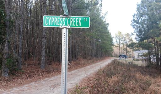 Cypress Creek 3