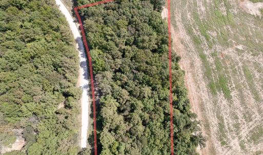 Through_1Lens_20250921_081329_0000