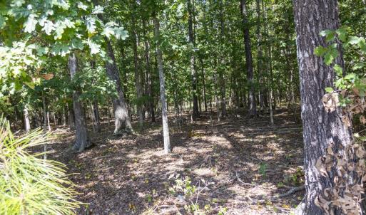 UnionCountyWhisperHallow20250919GroundPh