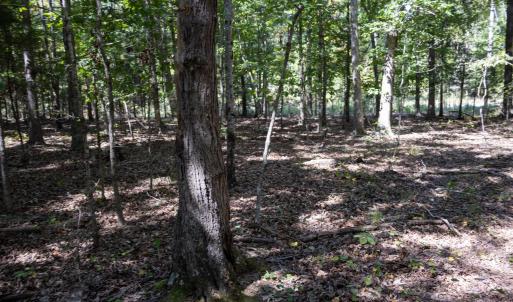 UnionCountyWhisperHallow20250919GroundPh