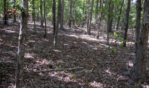 UnionCountyWhisperHallow20250919GroundPh