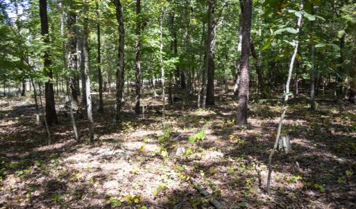 UnionCountyWhisperHallow20250919GroundPh