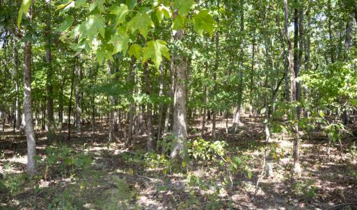 UnionCountyWhisperHallow20250919GroundPh