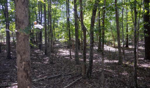 UnionCountyWhisperHallow20250919GroundPh