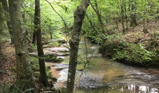 Creek