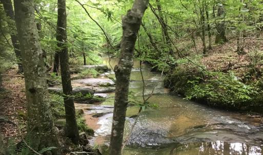 Creek