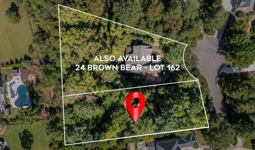 38-Brown-Bear-Lot-161---Lot-Lines