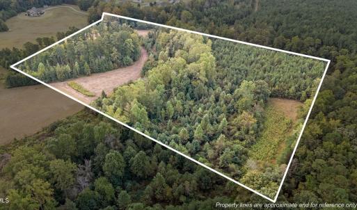 2-web-or-mls-DJI_20251001081244_0310_D_1