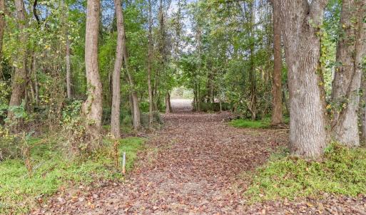 9-web-or-mls-DJI_20251001081616_0316_D