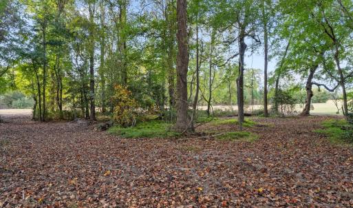 30-web-or-mls-DSC09950