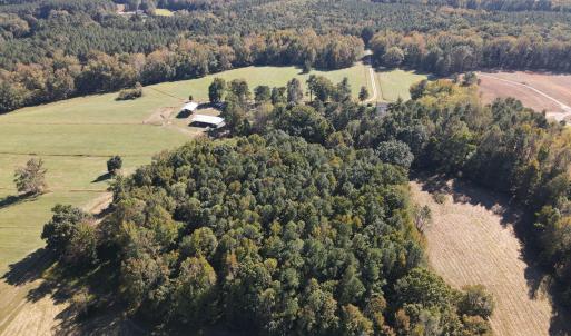 DJI_0550
