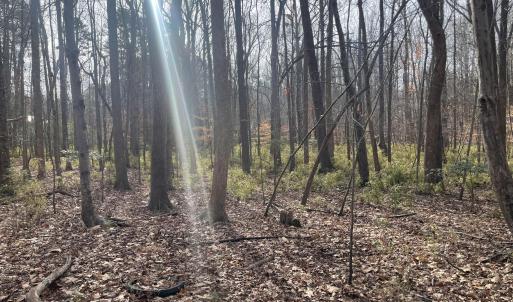 7) 64109-68eac8c76b448