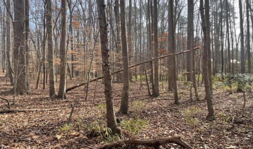 8) 64109-68eac8c8dbaa9