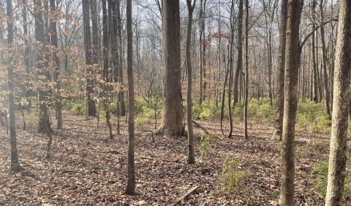 11) 64109-68eac8cb99df7