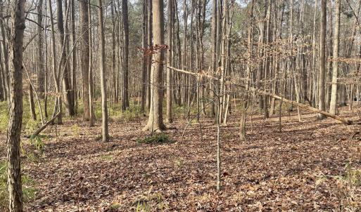 10) 64109-68eac8cb9b1ea