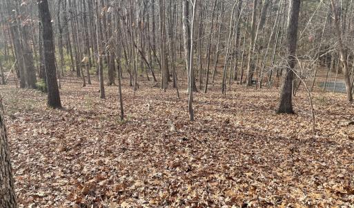 13) 64109-68eac8c8af519