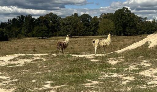 424beb44-ba41-4949-a97b-2e5865e04ac7