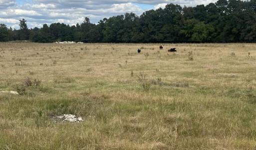 82a758f8-d0eb-4de0-8a43-58407a5a48c9