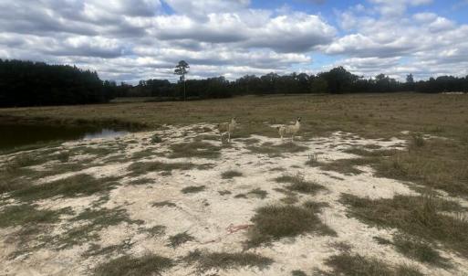 385c3040-80a0-45f4-afe4-122e05d068d7