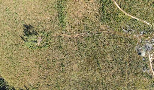 04-0 Winston DRONE _0016