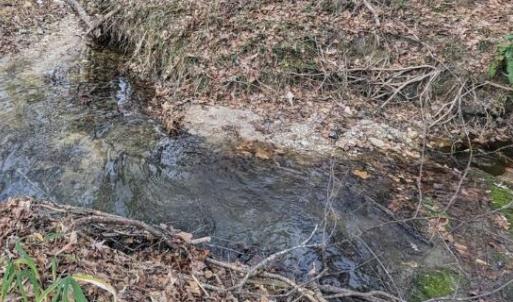 Screen Shot 2025-10-19 at 4.10.30 PM