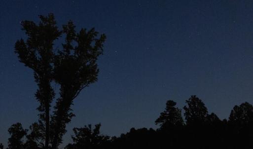 night sky