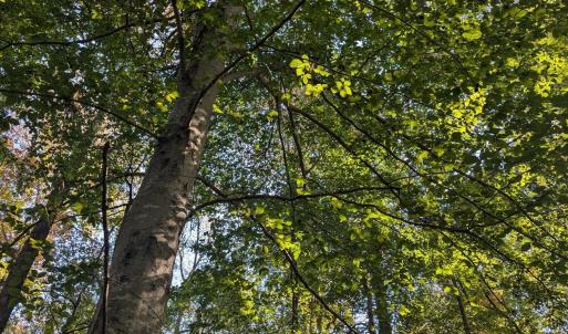 PXL_20251018_184222388.MP