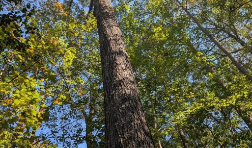 PXL_20251018_184032980.MP