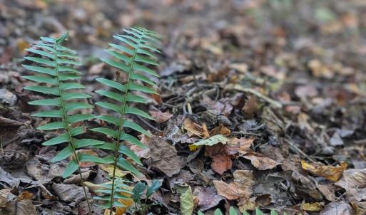 PXL_20251018_184650650.PORTRAIT