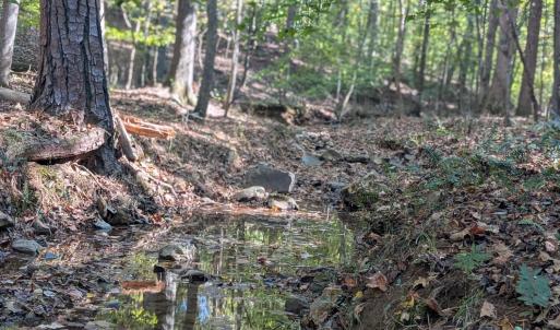 PXL_20251018_184809077.PORTRAIT