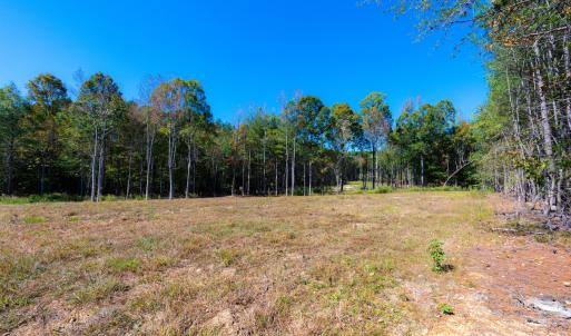 Cleared road frontage