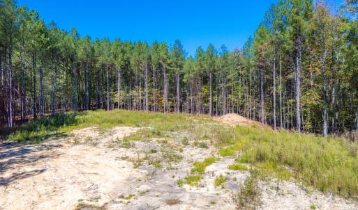 View of cleared back part of property