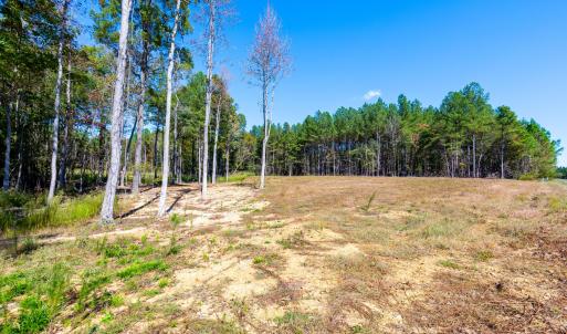 Cleared road frontage