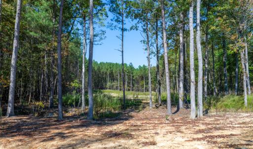Walk-through the of the property